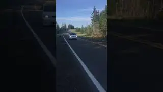 Corolla XRS 05 2zz-ge burnout