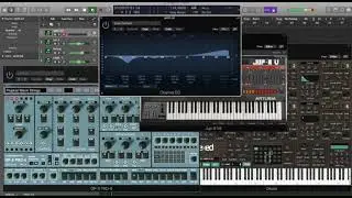 Cheri lady simple project (old video)