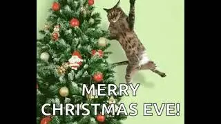 Merry Christmas Eve!