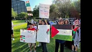 August Rally in New Haven for Palestine - The Struggle Video News