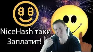 Выплаты Nicehash - обманщики? Кто виноват?