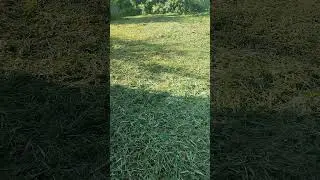 Покосил все 💪