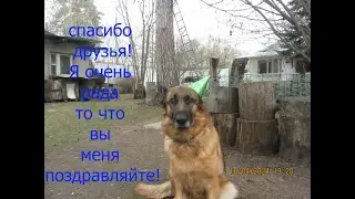 Вечеринка в честь дня рождения Бэссты.