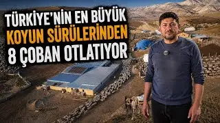 TÜRKİYE’NİN EN BÜYÜK KOYUN SÜRÜLERİNDEN / 8 ÇOBAN OTLATIYOR