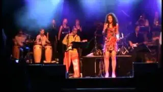 Dianthe van Velzen  - Chain of Fools