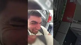 Стая в шоке 