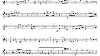 Pinzgauer Musikantenmarsch