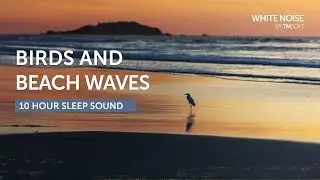 Tropical Birds and Waves - 10 Hours Sleep Sound - Black Screen