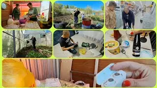 Дима умничает😅купила ПО ДЕШЕВКЕ😜высадила ПЕРЕЦ
