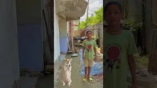 Garena Free Fire sent a chotor dog baby 😂 to my house for brother 🥰 #shorts #freefireshortstory