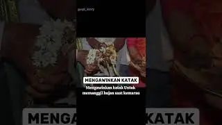 RITUAL MENGERIKAN PRINDAVAN #shorts #shortvideo #prindapan