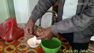 Jeito fácil de fazer iscas armadilhas para capturar abelhas nativas
