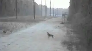 Охотник от бога
