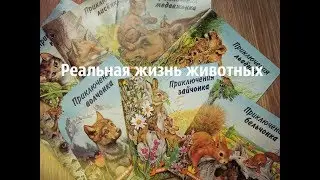 Приключения бельчонка#зайчонка#котенка#волчонка#медвежонка и т.д.