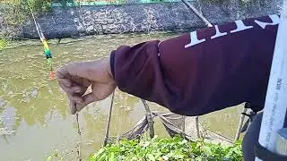 mancing di air dangkal bikin happy /kendal doyong sidoarjo