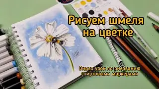 Рисуем шмеля спиртовыми маркерами
