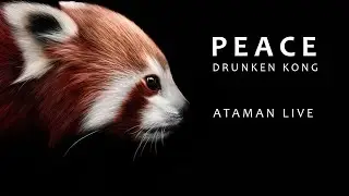 Drunken Kong - Peace (Ataman Live Remix) tech house