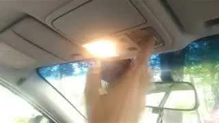 Замена лампочки в салоне автомобиля хонда аккорд 7