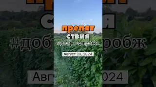 Когда препятствия 