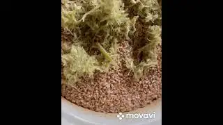 Делаем Кормак из звонка велосипеда!!!