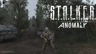 STALKER Anomaly Hunter