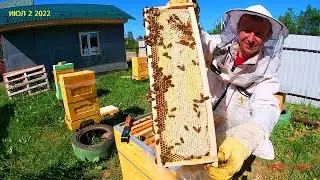 Мед для гостей , заказы на август !