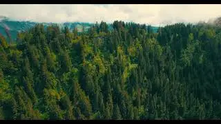 allow all permission my channel and mix video or Nepali vlog track 😁😁🤗🤗🤗🤗🤭🤭🤭