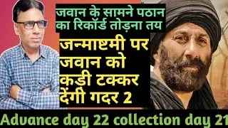gadar 2 advance booking box office day 22 | gadar 2 box office collection day 21