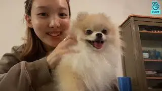 200907 [SUB] TWICE V LIVE - ㅎㅎ | Nayeon