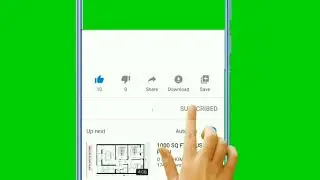 Bell Intro  | green screen effect
