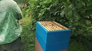 основной взяток и небольшая проблема.