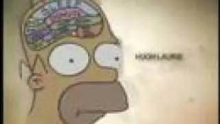 Homer MD