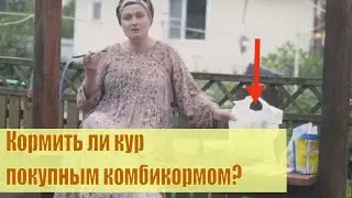 Чем кормить кур? Правда о покупном комбикорме! #Из города в деревню #семья в деревне