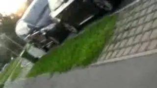 zeitungs_austragen mit vale und mischi