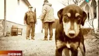 Da li i zašto Srbi vole da lažu?