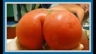 LOL Funny Pics Compilation 2018#3