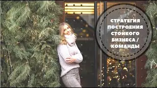 СТРАТЕГИЯ ПОСТРОЕНИЯ СТОЙКОГО БИЗНЕСА / КОМАНДЫ