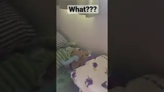 What???