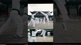 챔피언태권도 X 가은오픈세트장 #태권도 #taekwondo #문경