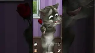 Did you like me? 💕🌹Talking Tom Funny 😂🤣#talkingtom