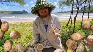 Crazy Coconut Chronicles