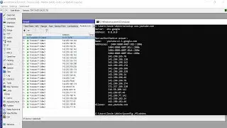 কিভাবে TLS Host এর মাধ্যমে Websites Block করবেন। How to Block Websites with TLS Host