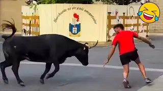 Try NOT to Laugh Challenge 😆 Top Funniest Videos of the Week 😅 PART 9