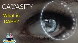 What is CAPP (Cappasity AI)? Lowdown and Perspective