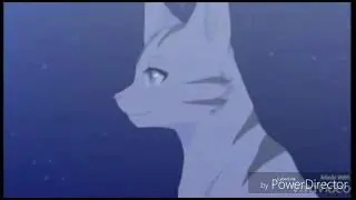 Коты воители Крутобок
