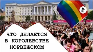 Ой! Что делается в норвежском королевстве! 😲