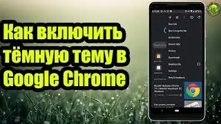 Как включить тёмную тему в Google Chrome