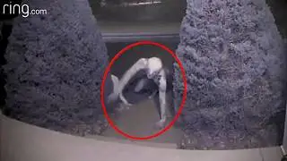 20 SCARIEST Creatures Caught On Doorbell Camera | Scary Comp V11