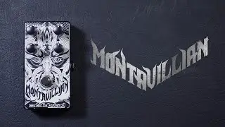 Catalinbread Montavillian Echo