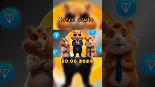 ПОСЛЕДНЕЕ КОМБО В ХОМЯКАХ 20.06.2024 ВСЕ #hamsterkombat